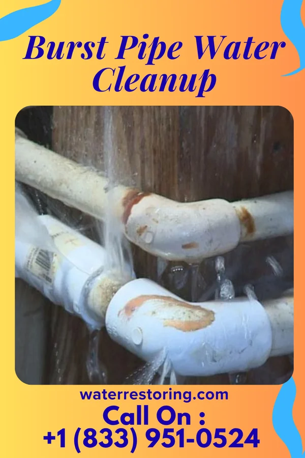 Burst Pipe Water Cleanup in Cassville, PA