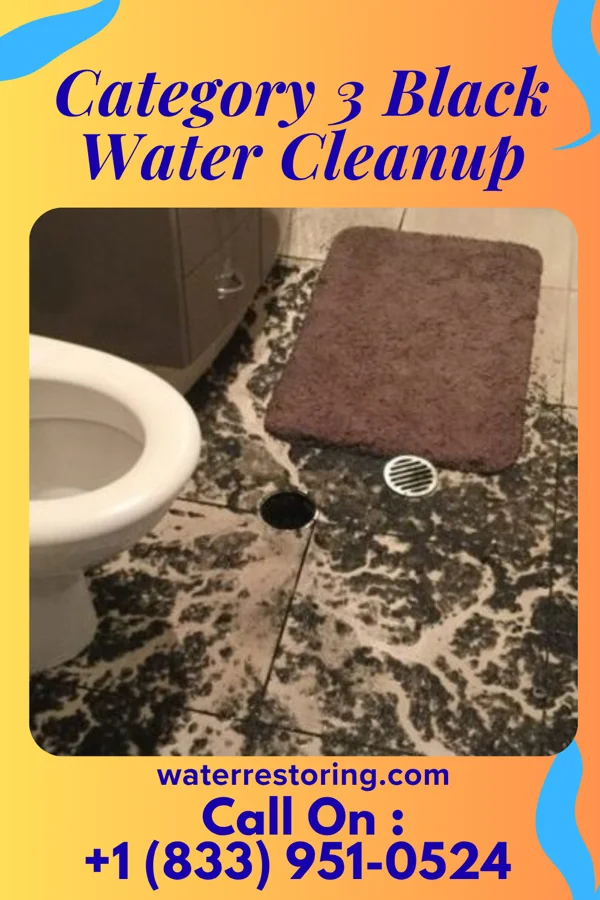Category 3 Black Water Cleanup in Cassville, PA