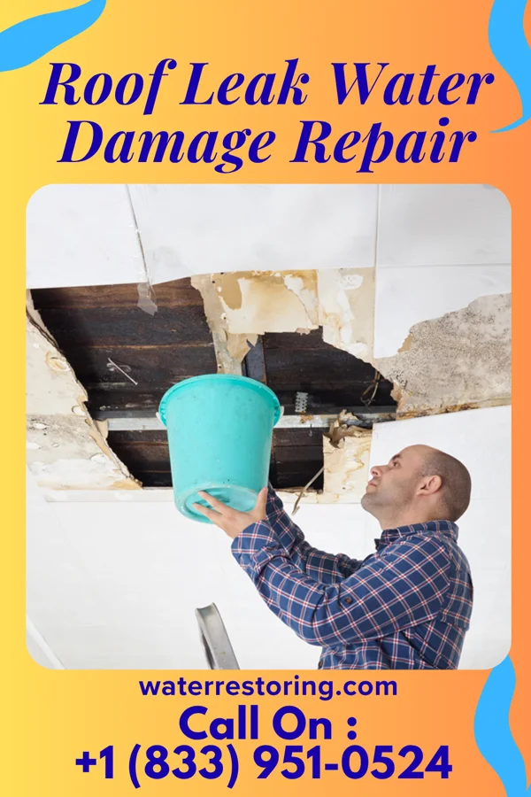 Roof Leak Water Damage Repair in Cassville, PA