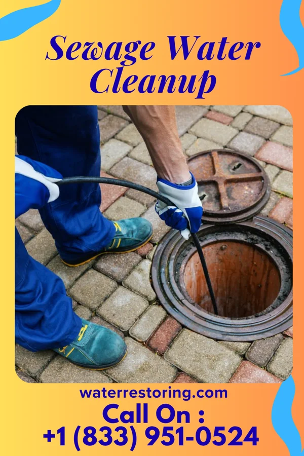 Sewage Water Cleanup in Cassville, PA