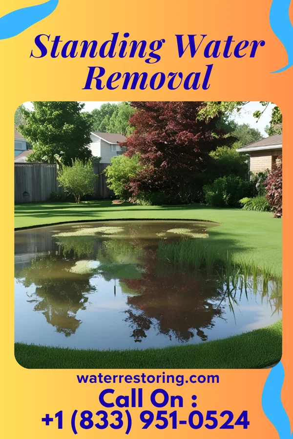Standing Water Removal in Cassville, PA